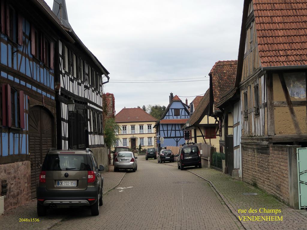 La Cour Des Amis Bed and Breakfast Vendenheim Exterior foto